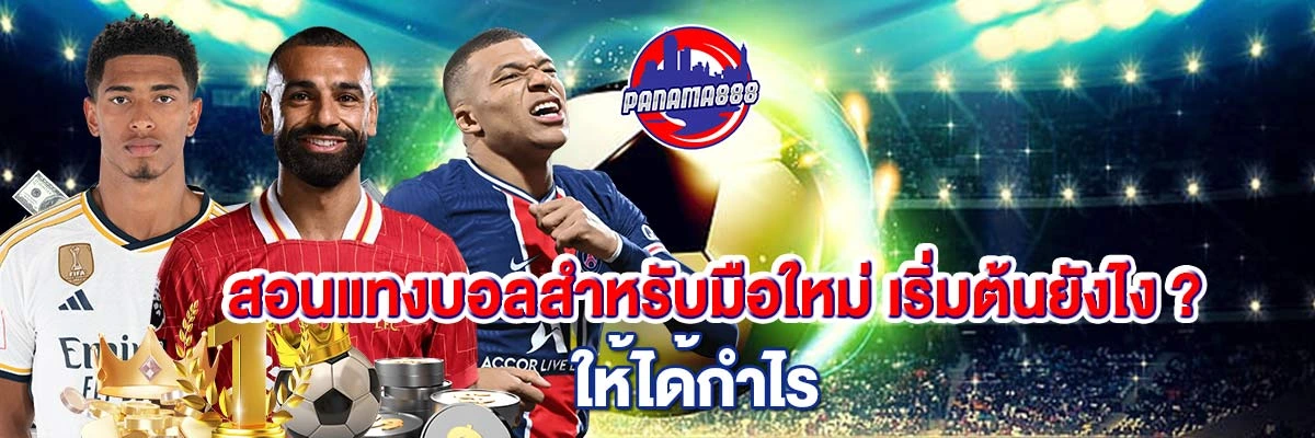 สอน แทงบอล